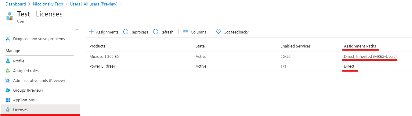 Azure AD Direct License Assignment Portal View